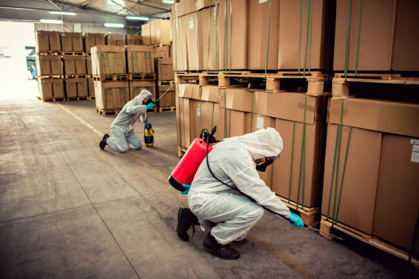 Best Best Pest Control Companies  in West Terre Haute, IN