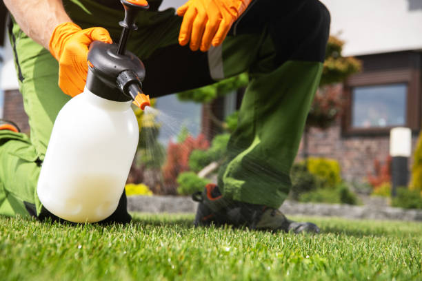 Best Mosquito Control Services  in West Terre Haute, IN