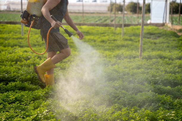Pest Prevention Services in West Terre Haute, IN