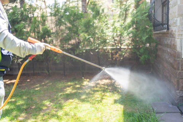 Best Flea Control Services  in West Terre Haute, IN