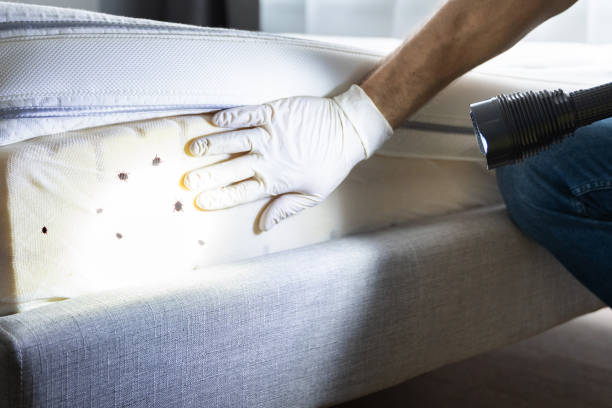 Best Commercial Pest Control Services  in West Terre Haute, IN