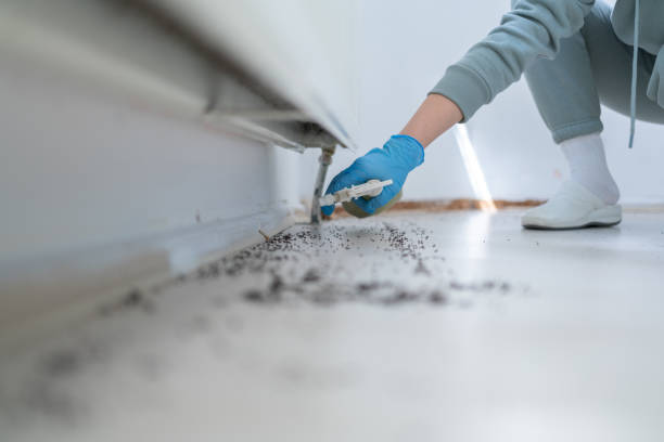 Reliable West Terre Haute, IN Pest Control Solutions